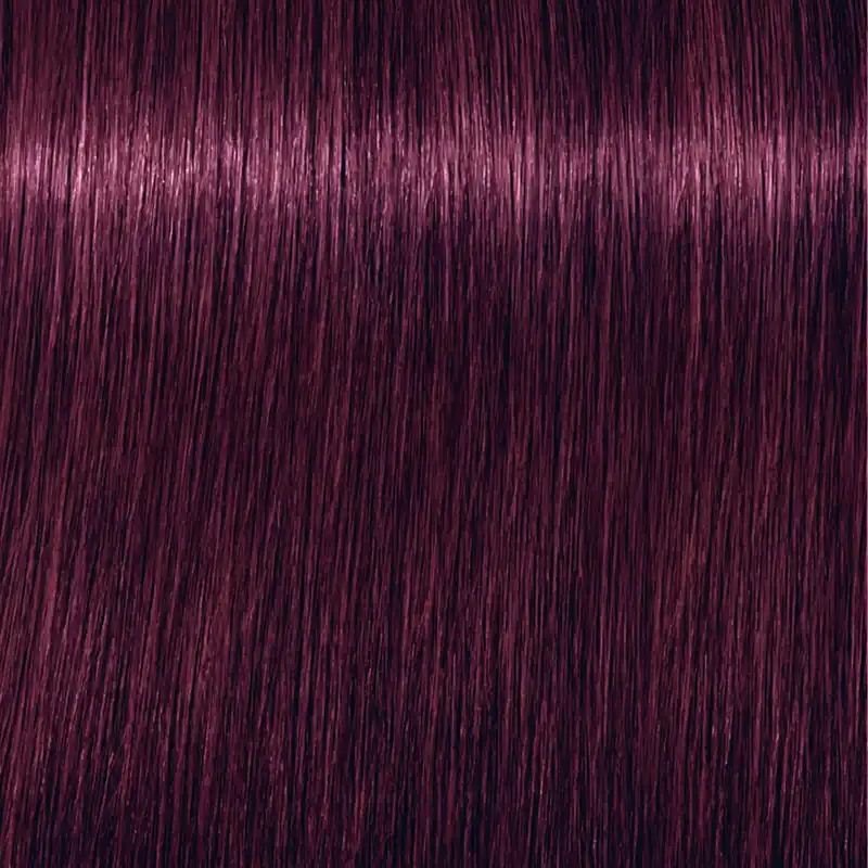 Schwarzkopf Igora Royal 6-99 Dunkelblond Violett Online Kaufen