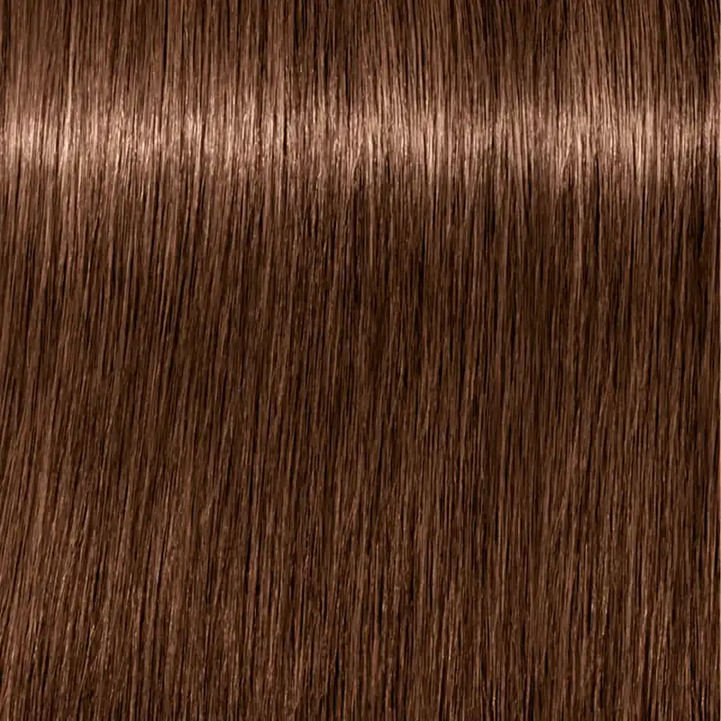 Schwarzkopf Igora Royal 6-6 Dunkelblond Schoko Geld-Zurück-Garantie