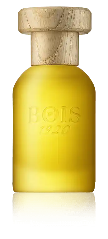Bois 1920 Cannabis Fruttata Eau de Parfum Spray (50 ml) Preiswert